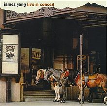 James Gang - Live in Concert