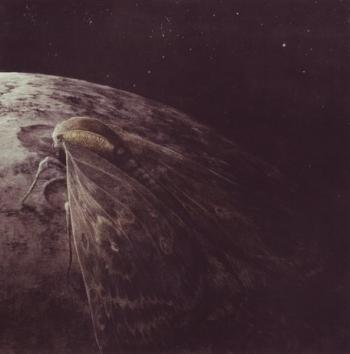 Augrimmer - Moth and the Moon