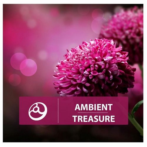 VA - Ambient Prime, Treasure 