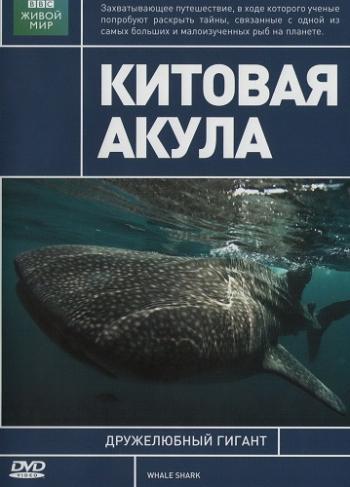 BBC:   / BBC: Whale Shark VO