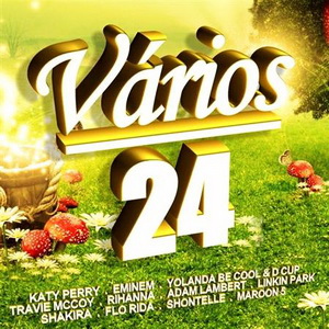 VA - Varios 24