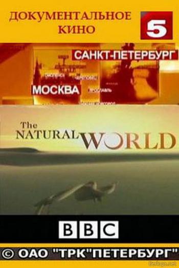   / The Natural World (1-50 )