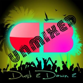 VA - Dusk 2 Dawn 2: Unmixed