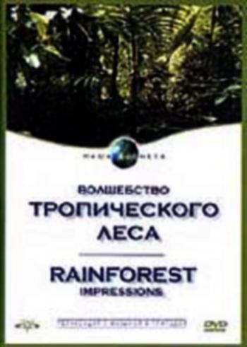  :    / Rainforest Impressios