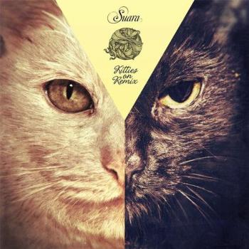 VA - Kitties On Remix