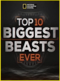 -10  / Top 10 Biggest Beasts Ever VO