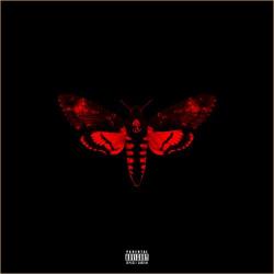 Lil Wayne - I Am Not A Human Being 2