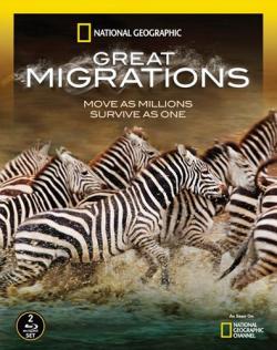   (4-6  6 ) / Great Migrations VO