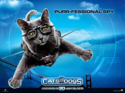  :    / Cats & Dogs: The Revenge of Kitty Galore DUB