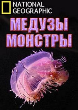 - / Monster Jellyfish