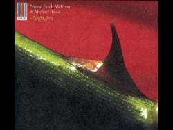 Nusrat Fateh Ali Khan Michael Brook - Night Song