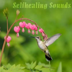 VA - Selfhealing Sounds
