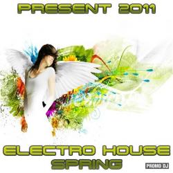 VA - Electro House Spring 2011 (Part 6)