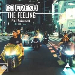 DJ Fresh feat. RaVaughn - The Feeling