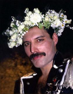 Freddie Mercury -  