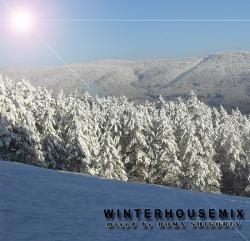 VA - WinterHouseMix 2011