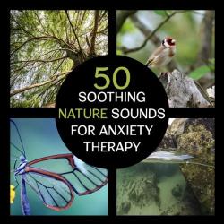 VA - 50 Soothing Nature Sounds for Anxiety Therapy: Peaceful Music to Calm Your Mind