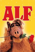  (4 ) (24   24) / Alf