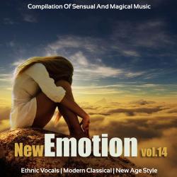 VA - New Emotion Vol.14