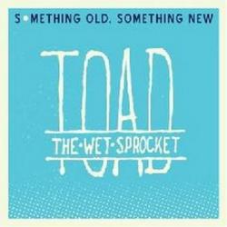 Toad the Wet Sprocket - Something Old, Something New