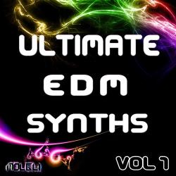 Sylenth1 - Molgli - Ultimate EDM Synths Vol.1