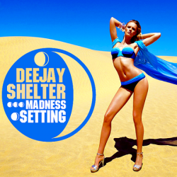 VA - Deejay Shelter Madness Setting