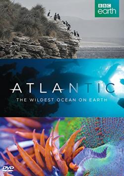 :      (1 : 1-3   3) / Atlantic: The Wildest Ocean on Earth DVO