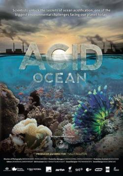   / Acid Ocean DVO