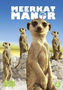   (1,2,3,4 , 1-51   51) / Animal Planet. Meerkat Manor VO