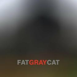 Fat Gray Cat - Fat Gray Cat