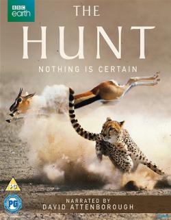  (1-7   7) / BBC: The Hunt DVO