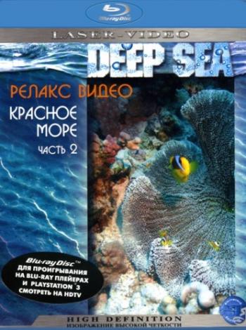   (1-3 ) / Deep Sea