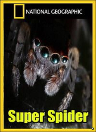 National Geographic.   / National Geographic. Super Spider VO