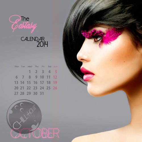 VA - The Ecstasy Calendar 2014 