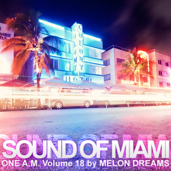 VA - Sound Of Miami: One A.M. Volume 18
