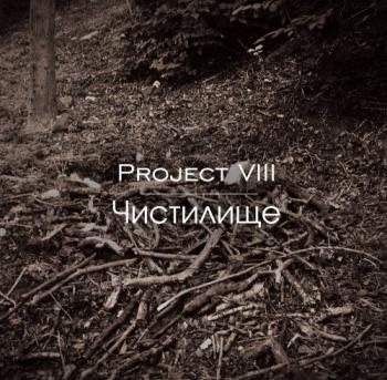 Project VIII - 