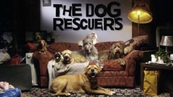 Animal Planet:   (1 : 1-10   10) / Animal Planet: The Dog Rescuers DVO