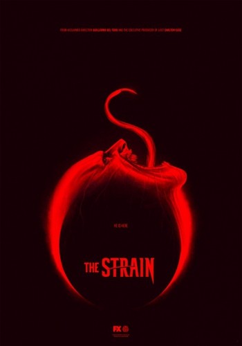 , 1  1-13   13 / The Strain [NewStudio]