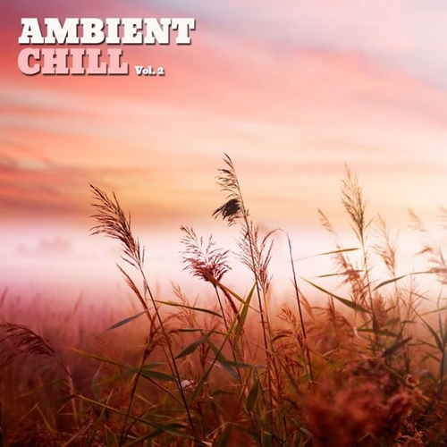 VA - Ambient Chill, Vol. 1-2 