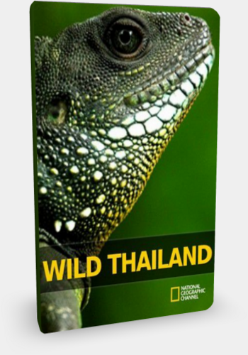   (2   2) / National Geographic: Wild Thailand DUB