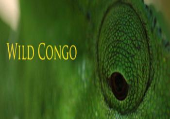 National Geographic:    (2   2) / National Geographic: Wild Congo VO