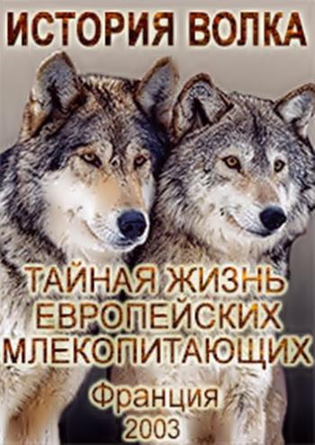     / The Secret Life Of European Mammals: The Wolf's Story VO
