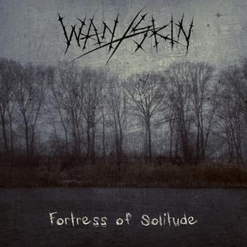 Wan Skin - Fortress Of Solitude