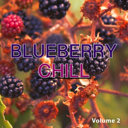 VA - Blueberry Chill Vol 1-2 