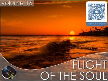 VA - Flight Of The Soul vol.16