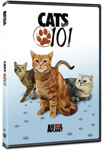    (10 ) / Cats 101 (10 series) VO