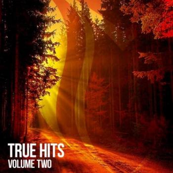 VA - True Hits Vol 2