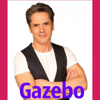 Gazebo -   (2)