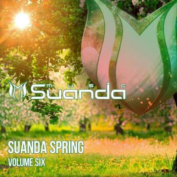 VA - Suanda Spring Vol 6
