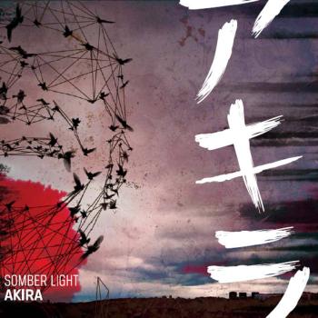 Somber Light - Akira